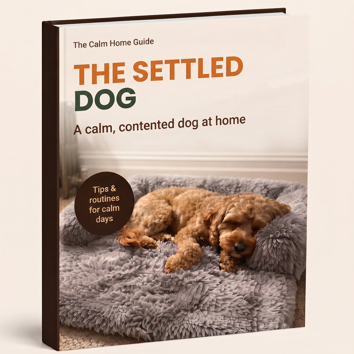 The Settled Dog – calm at home guide by Pawdys