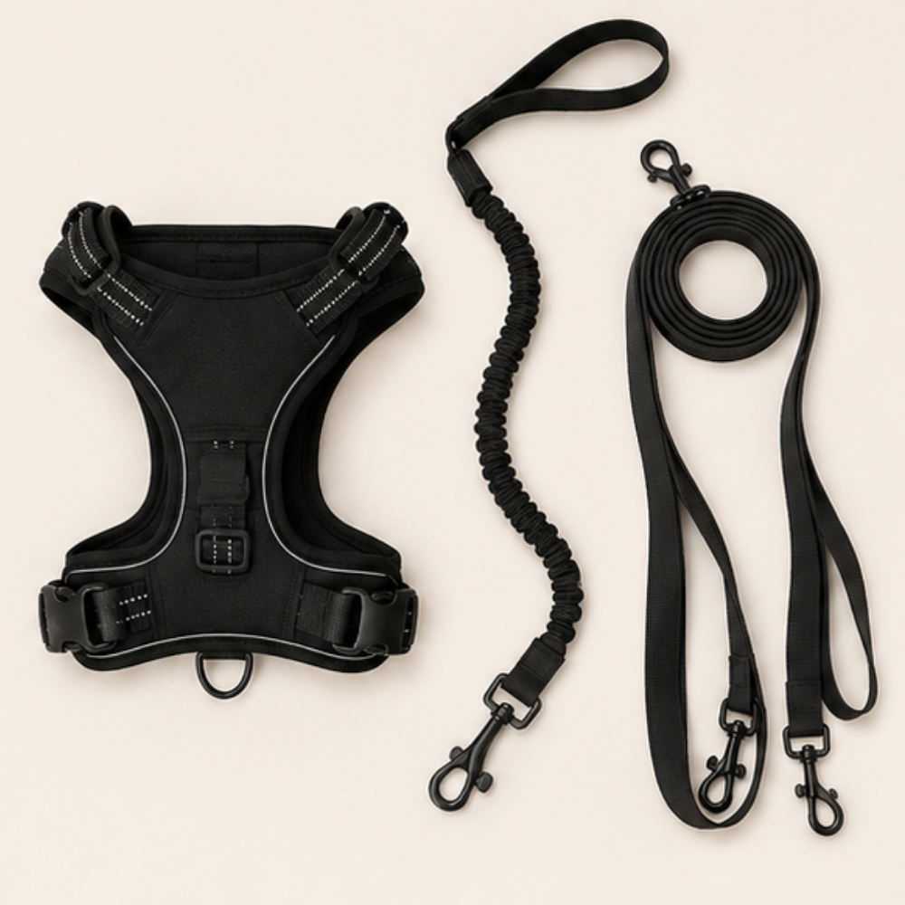 Harnesses & Collars