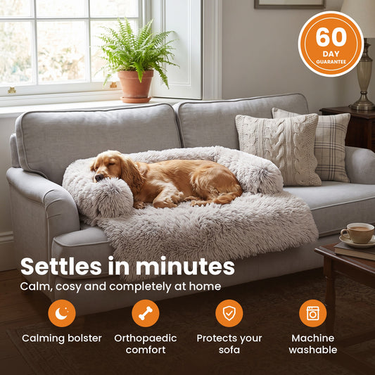 Pawdys Luxury Sofa Bed