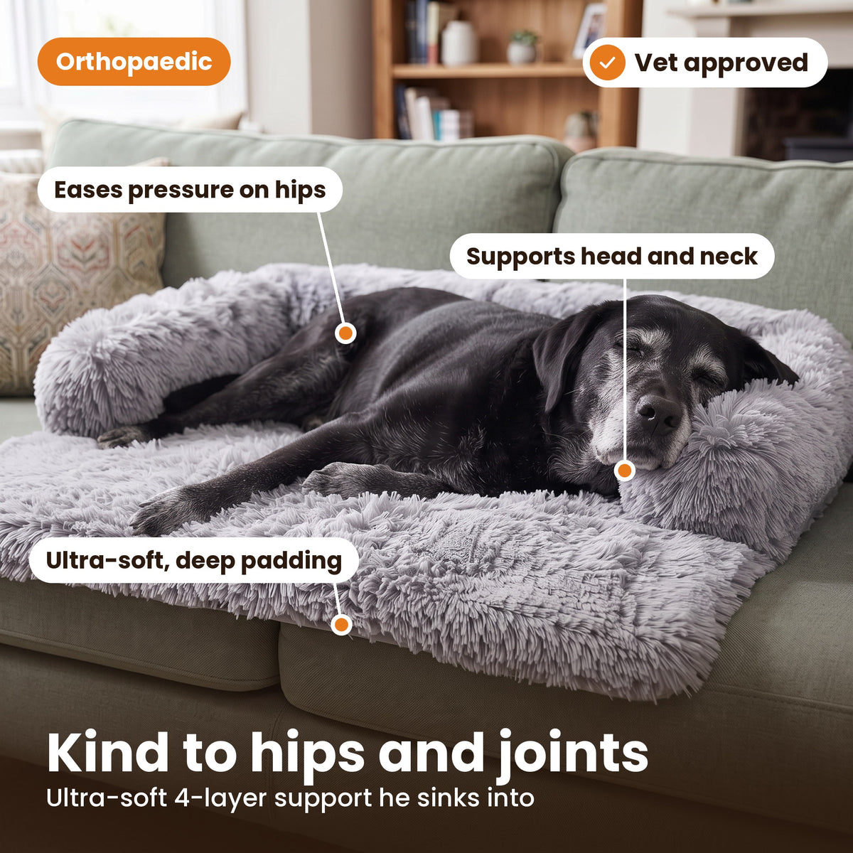 Pawdys Luxury Sofa Bed