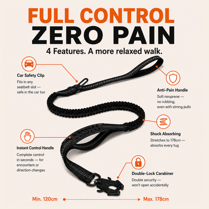 Shock-Absorbing Bungee Lead