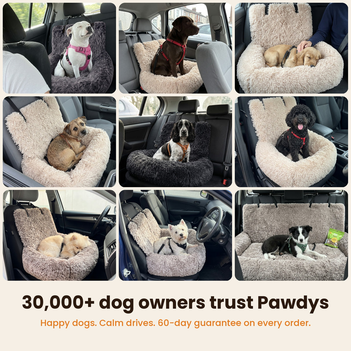 30,000+ dog owners trust Pawdys