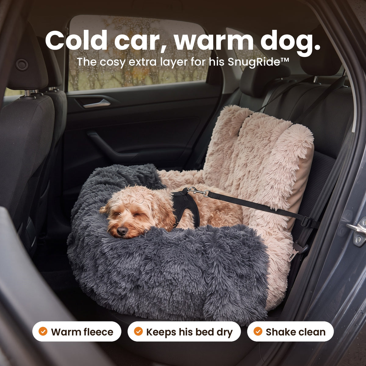 Cold car, warm dog: cockapoo asleep on the Cosy Blanket in a SnugRide car bed