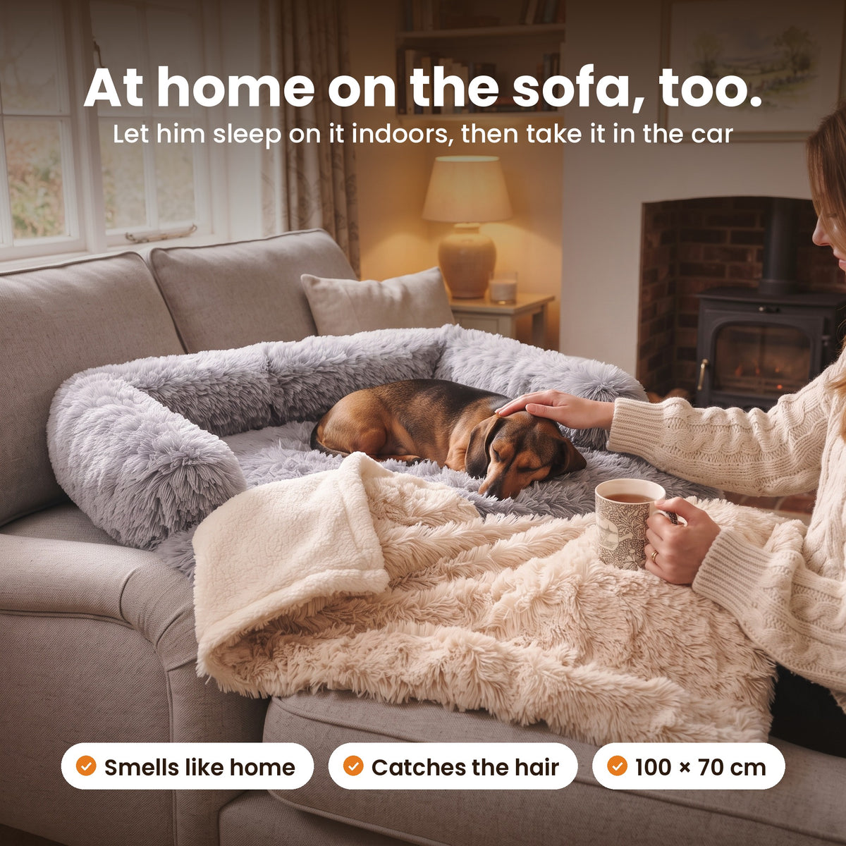 At home on the sofa too: dachshund on a Pawdys sofa bed with the Cosy Blanket in Beige