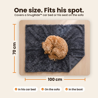 One size, 100 × 70 cm: fits his car bed, the sofa or the boot