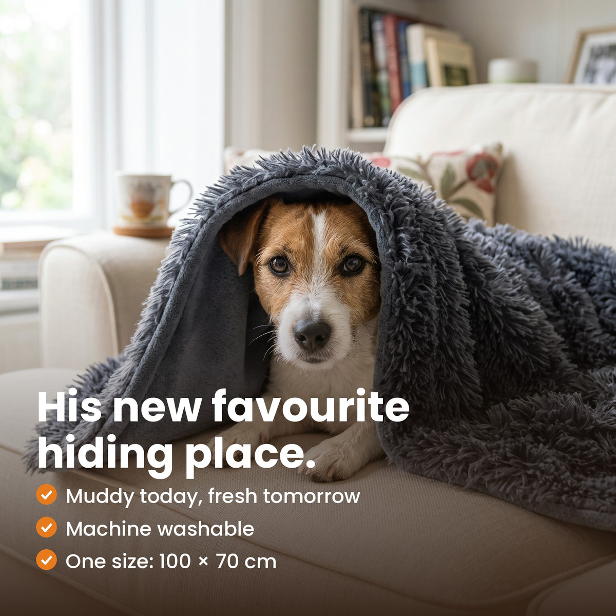 His new favourite hiding place: Jack Russell peeking out from under the Cosy Blanket in Dark Grey