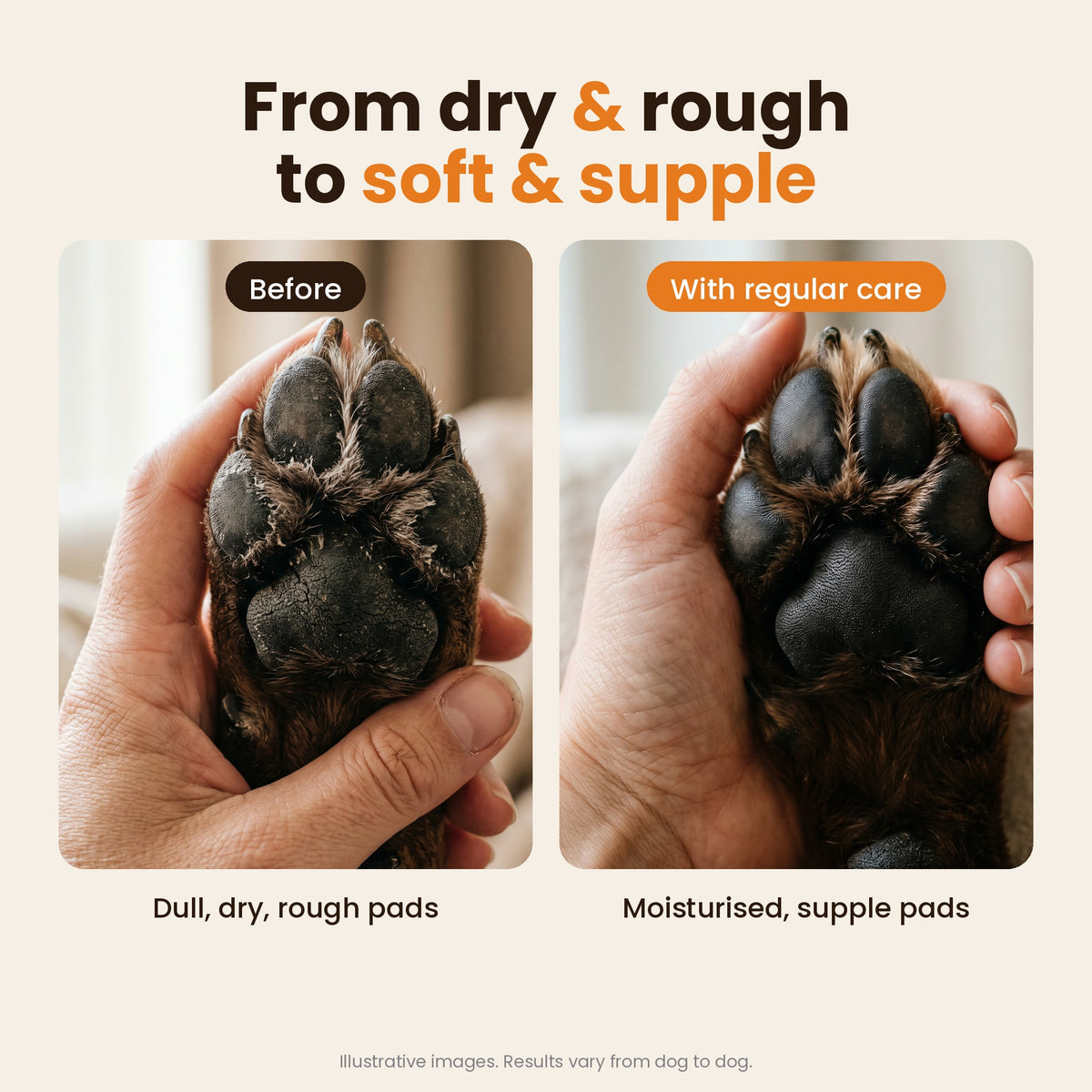 From dry and rough to soft and supple paw pads (illustrative)