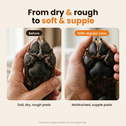 From dry and rough to soft and supple paw pads (illustrative)