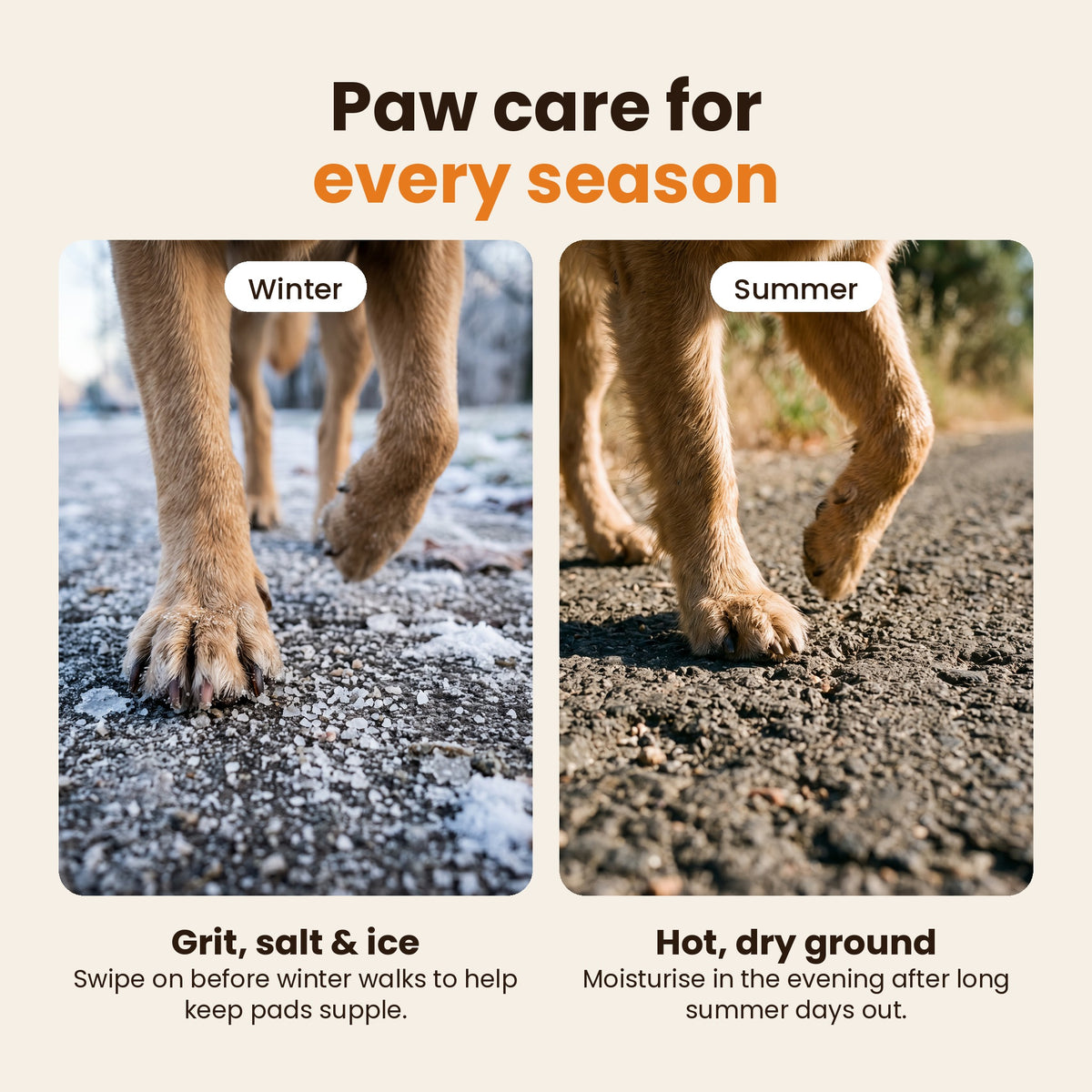 Paw care for winter and summer walks