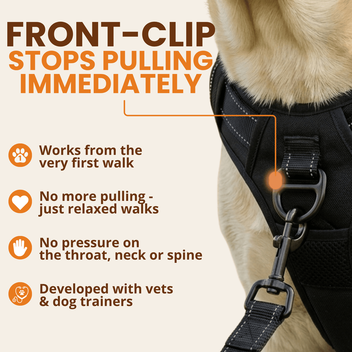 Pawdys Tactical No-Pull Lead