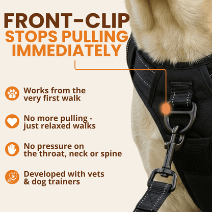 Pawdys Tactical No-Pull Lead