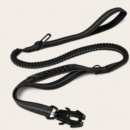 Shock-Absorbing Bungee Lead