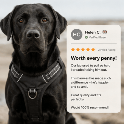 Pawdys No-Pull Dog Harness