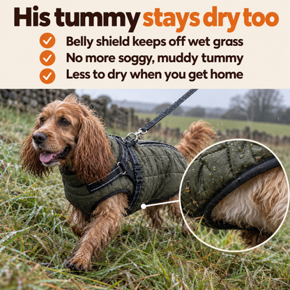 Pawdys All-Weather Harness Coat