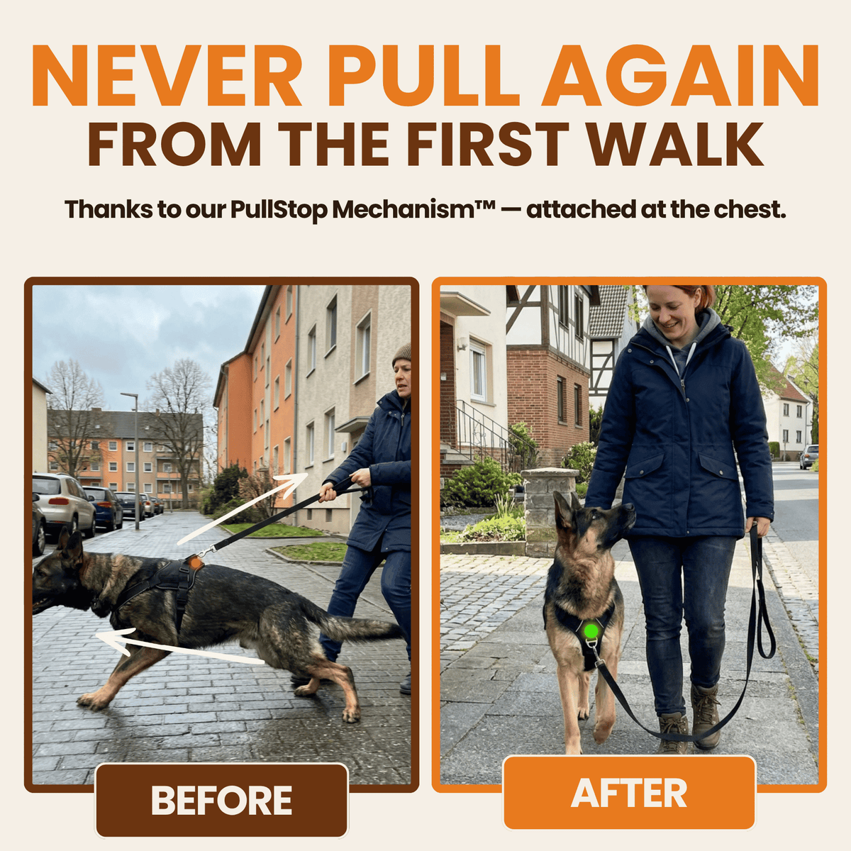 -Pawdys No-Pull Dog Harness-