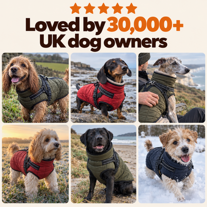 Pawdys All-Weather Harness Coat
