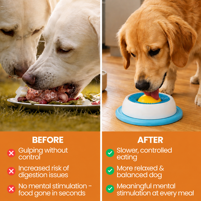 Pawdys™ Anti-Stress Lick Bowl