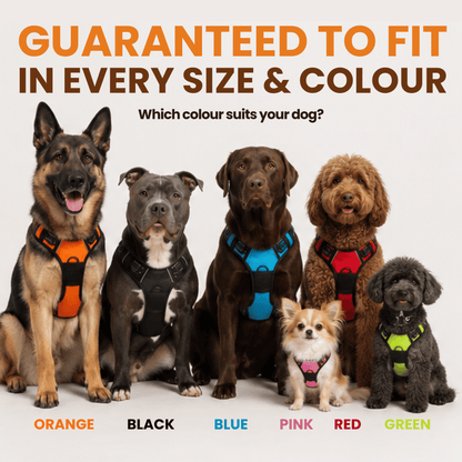 Pawdys No-Pull Dog Harness