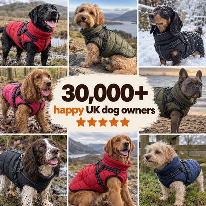 Pawdys All-Weather Harness Coat