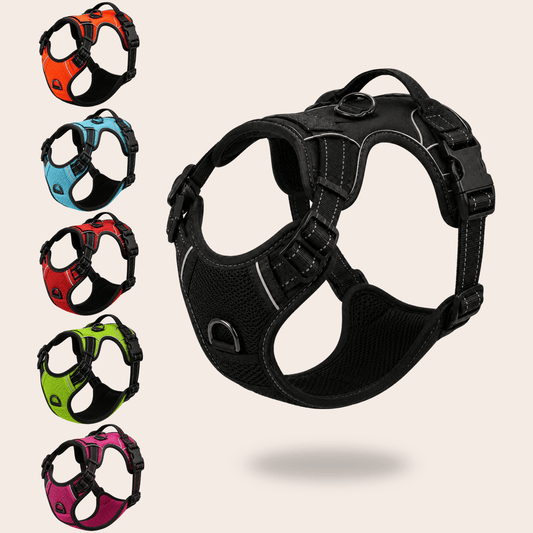 Pawdys No-Pull Dog Harness
