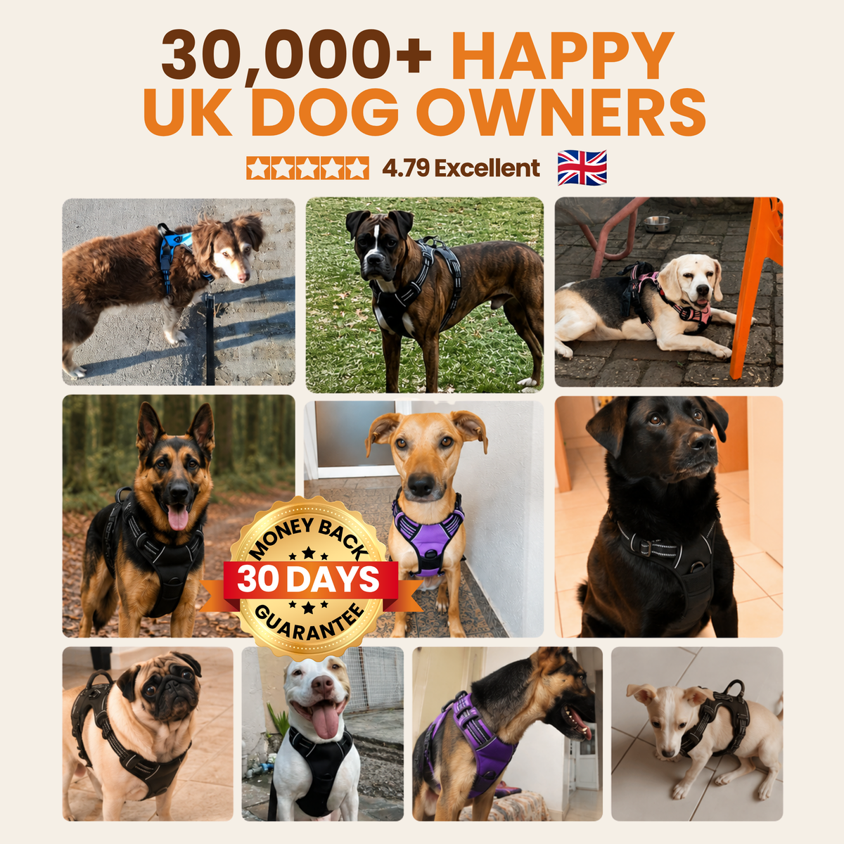 Pawdys No-Pull Dog Harness