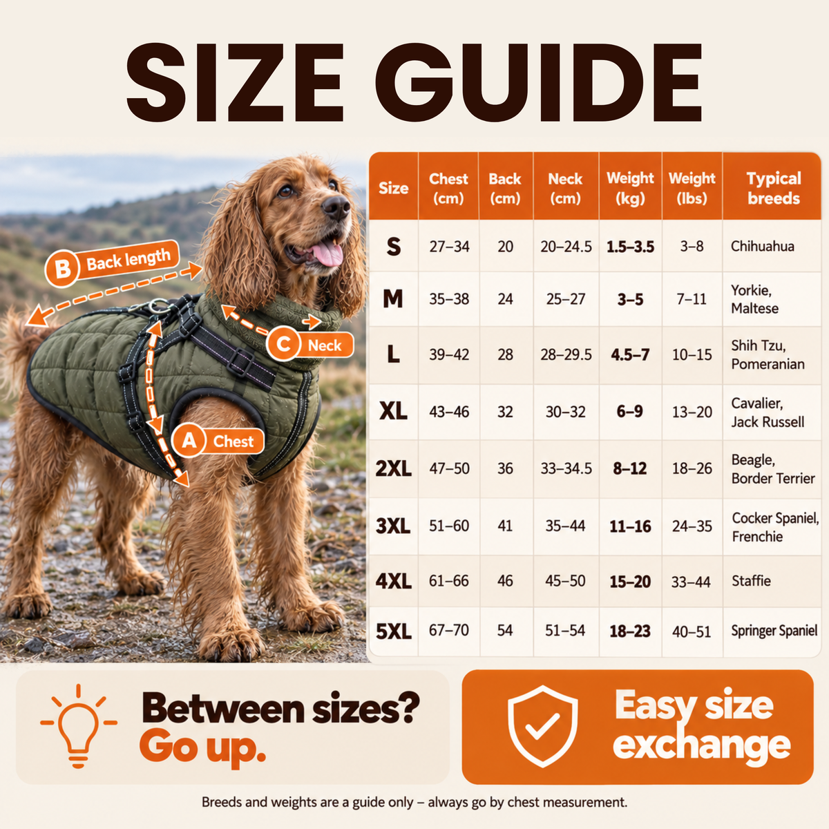Pawdys All-Weather Harness Coat