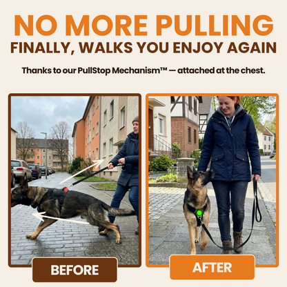 Pawdys No-Pull Dog Harness