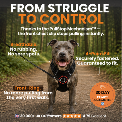 Pawdys No-Pull Dog Harness