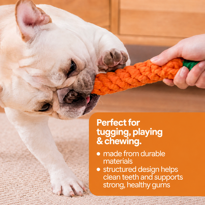 Pawdys™ Indestructible Chew Toy