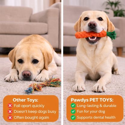 Pawdys™ Indestructible Chew Toy
