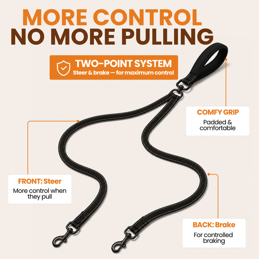 Pawdys Tactical No-Pull Lead