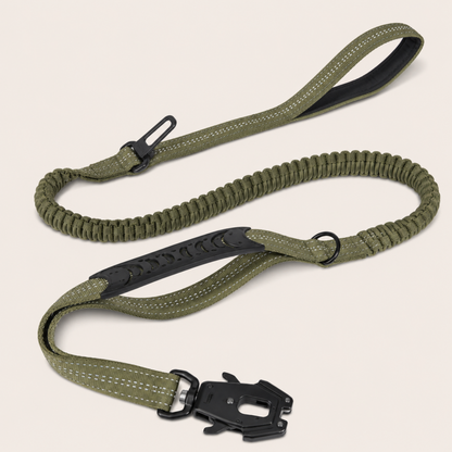 Shock-Absorbing Bungee Lead