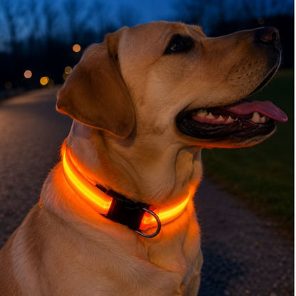 Pawdys Light-Up Collar
