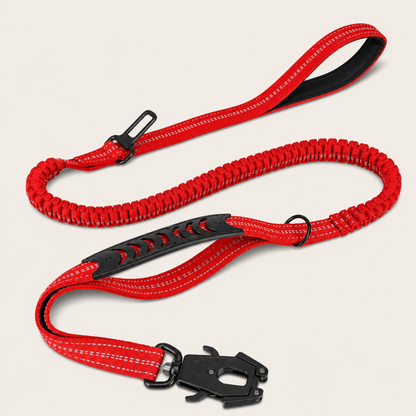 Shock-Absorbing Bungee Lead