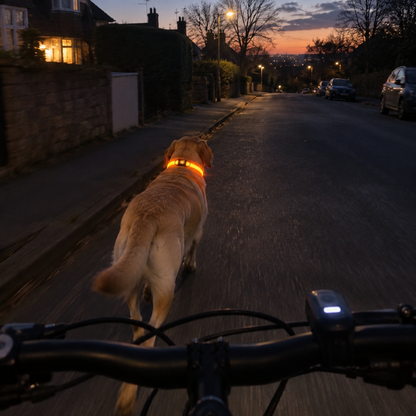 Pawdys Light-Up Collar