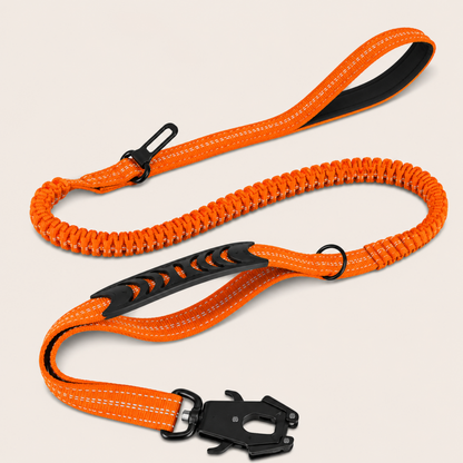Shock-Absorbing Bungee Lead