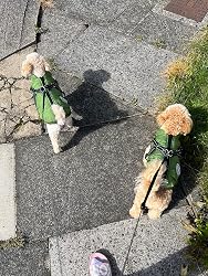 Kundenfoto