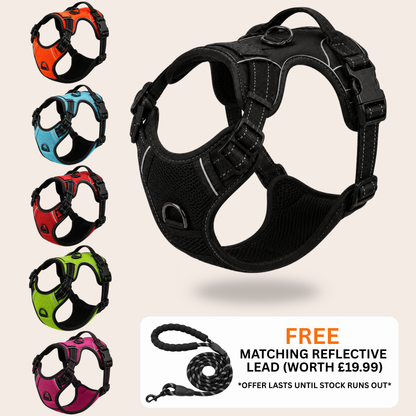 Pawdys No-Pull Dog Harness
