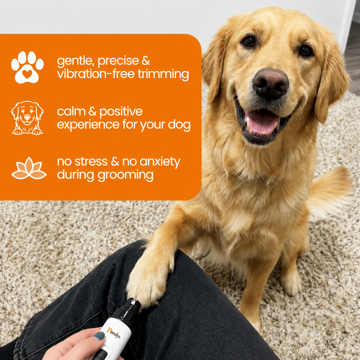 Pawdys™ Nail Grinder