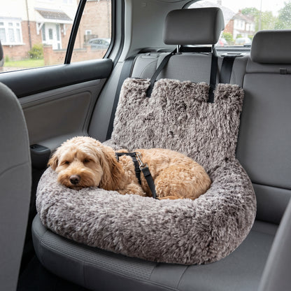Cockapoo settled in the Coffee SnugRide Car Bed, clipped in by the harness