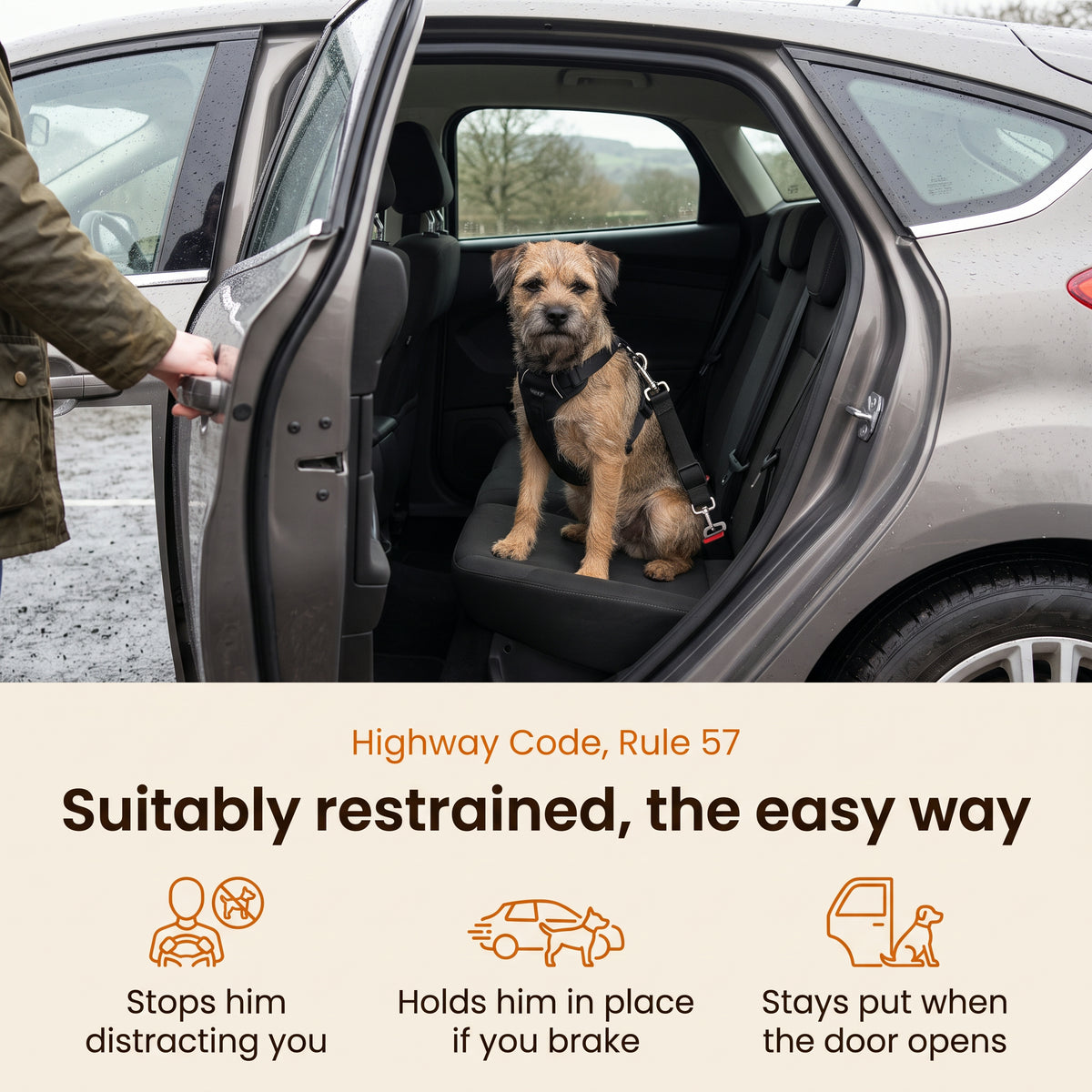 Highway Code Rule 57 – suitably restrained the easy way: stops him distracting you, holds him in place if you brake, stays put when the door opens