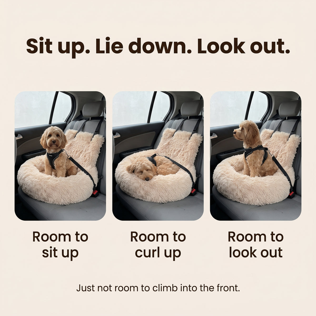 Sit up, lie down, look out – room to move in the SnugRide Car Bed, just not room to climb into the front
