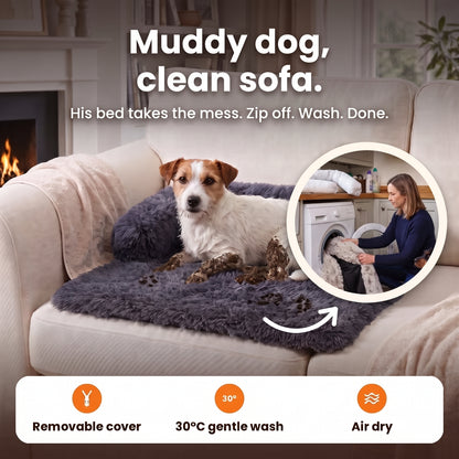 Muddy dog, clean sofa – his bed takes the mess: removable cover, 30°C gentle wash, air dry