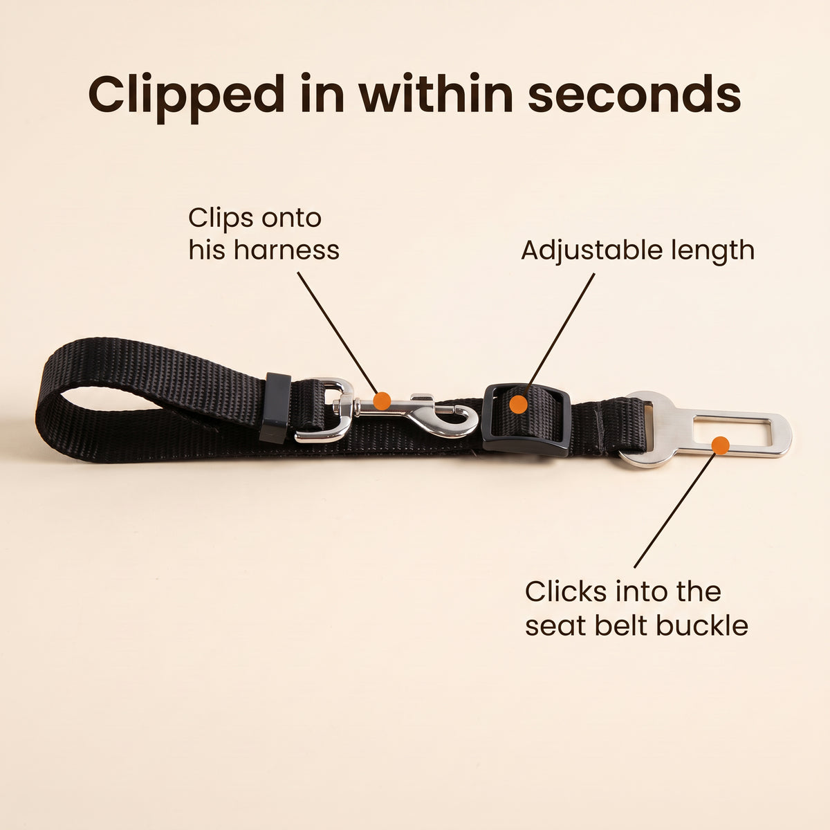 Clipped in within seconds – clips onto his harness, adjustable length, clicks into the seat belt buckle