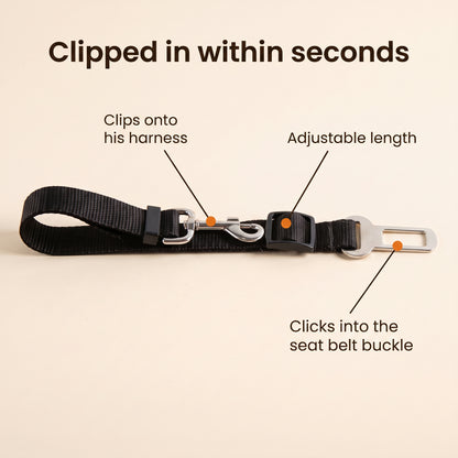 Clipped in within seconds – clips onto his harness, adjustable length, clicks into the seat belt buckle
