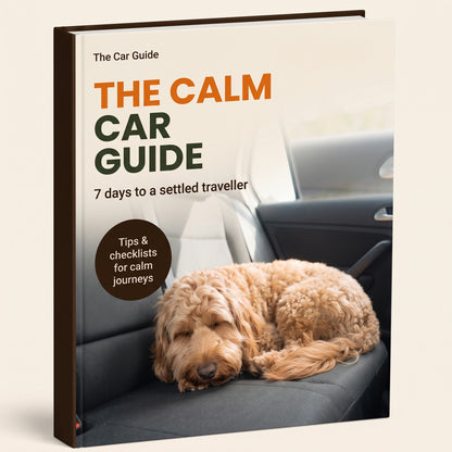 The Calm Car Guide – book cover, 7 days to a settled traveller