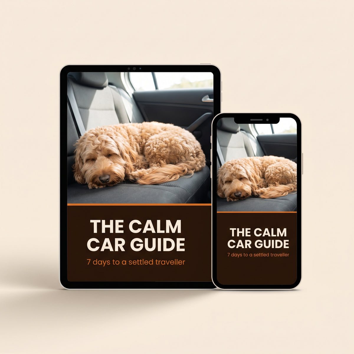 The Calm Car Guide – 7 days to a settled traveller (digital guide)