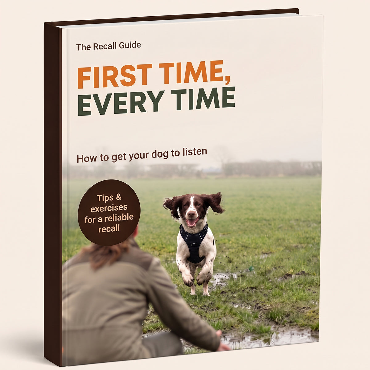 First Time, Every Time – dog recall guide by Pawdys
