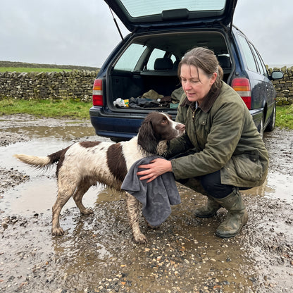 Drying a muddy spaniel with the Muddy Paws Towel after a wet walk