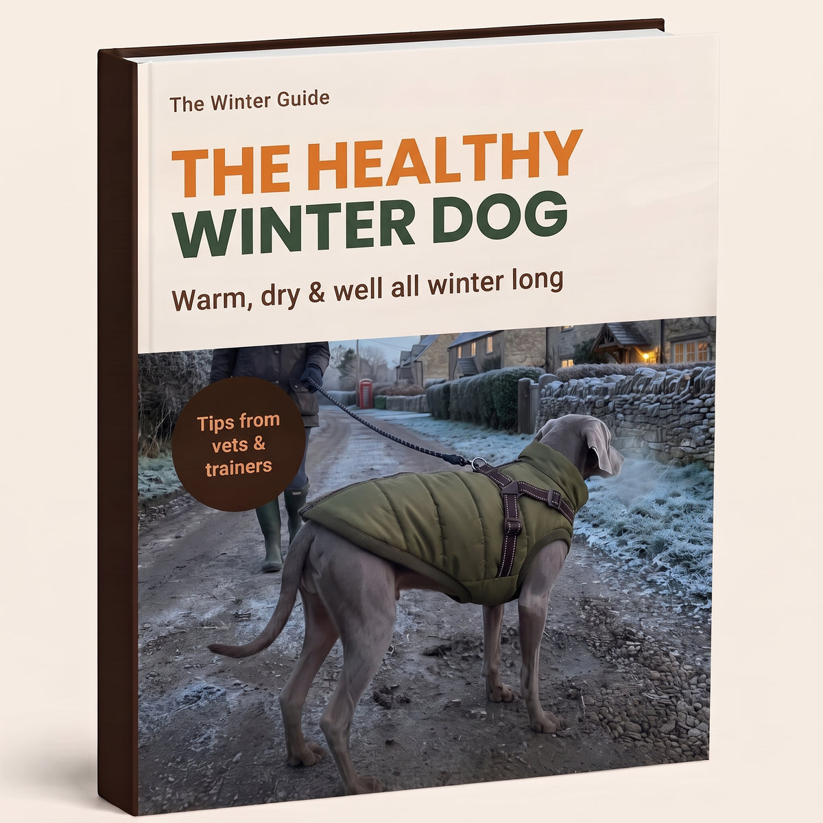 The Healthy Winter Dog – Pawdys winter guide for dog owners